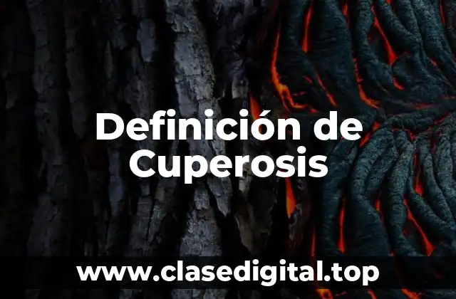 Definición de Cuperosis