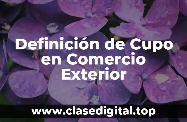 Definición de Cupo en Comercio Exterior