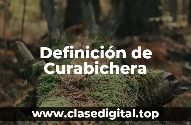Definición de Curabichera