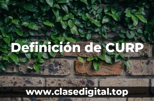 Definición de CURP