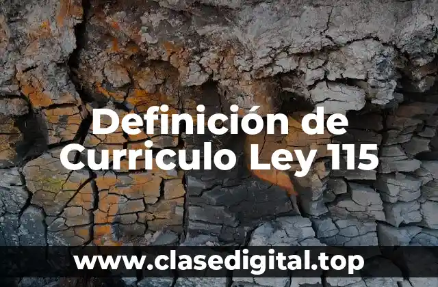 Definición técnica de Curriculo Ley 115