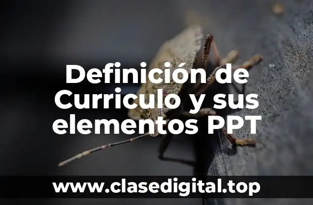 Definición de Curriculo y sus elementos PPT