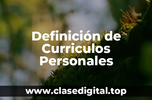 Definición de Curriculos Personales