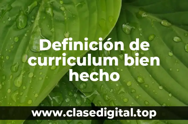 Definición de curriculum bien hecho