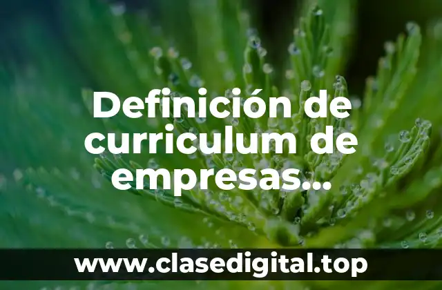 Definición de curriculum de empresas constructoras