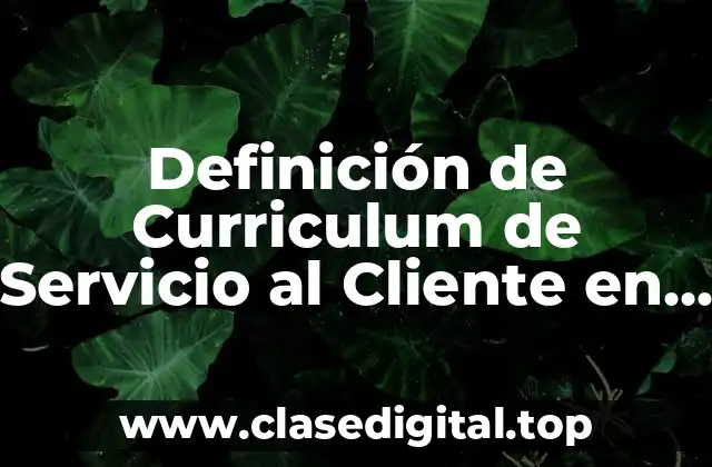 Ejemplos de Curriculum de Servicio al Cliente en una Empresa
