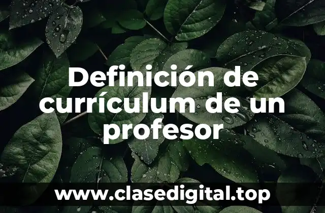 Definición de currículum de un profesor
