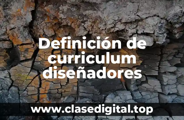 Definición de curriculum diseñadores