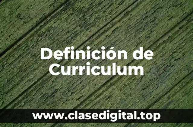 Definición técnica de Curriculum