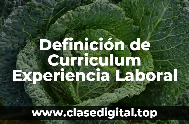Ejemplos de Curriculum Experiencia Laboral