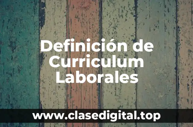 Ejemplos de Curriculum Laborales