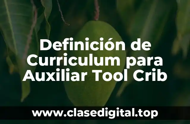 Definición de Curriculum para Auxiliar Tool Crib