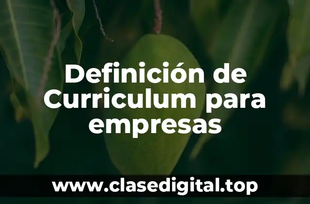 Definición de Curriculum para empresas