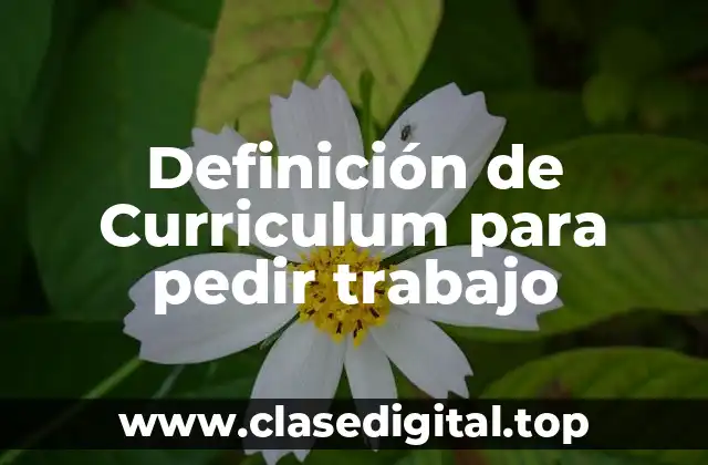 Definición de Curriculum para pedir trabajo