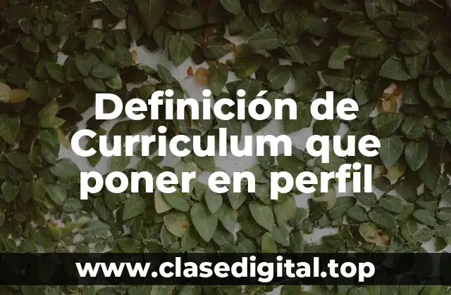 Definición de Curriculum que poner en perfil