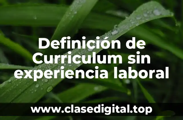 Definición de Curriculum sin experiencia laboral