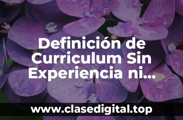 Ejemplos de Curriculum Sin Experiencia ni Estudios