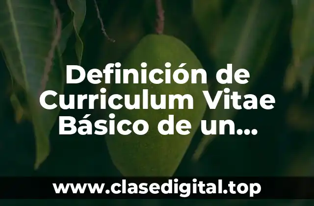 Ejemplos de Curriculum Vitae Básico