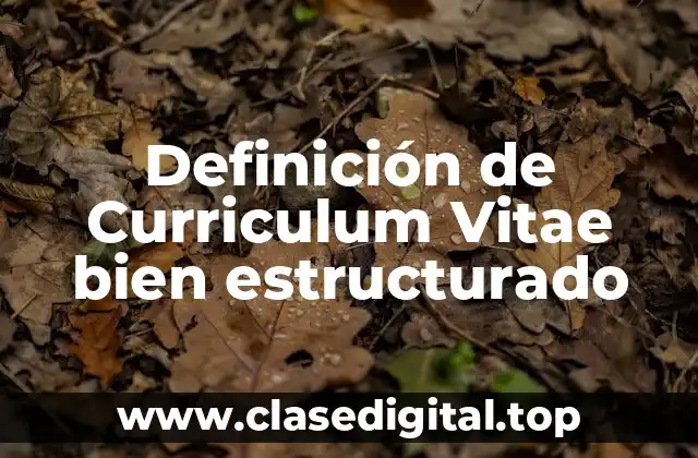 Definición de Curriculum Vitae bien estructurado
