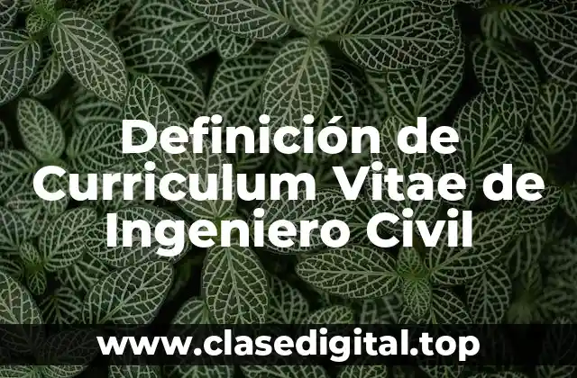 Ejemplos de Curriculum Vitae de Ingeniero Civil