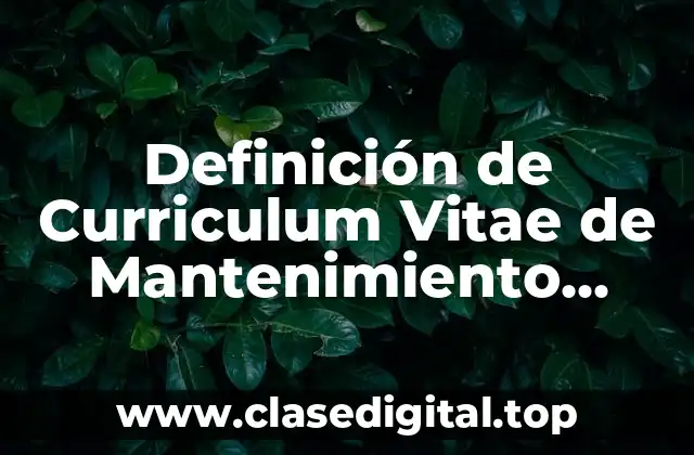 Ejemplos de Curriculum Vitae de Mantenimiento Industrial