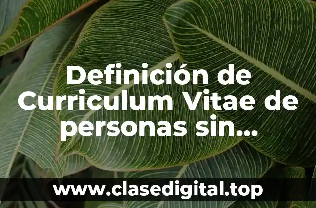 Definición de Curriculum Vitae de personas sin experiencia