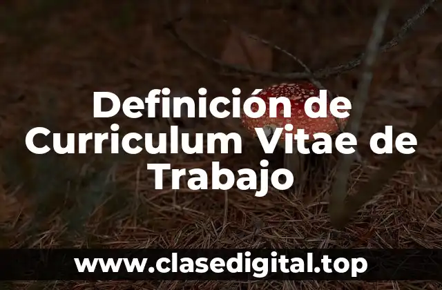 Definición de Curriculum Vitae de Trabajo