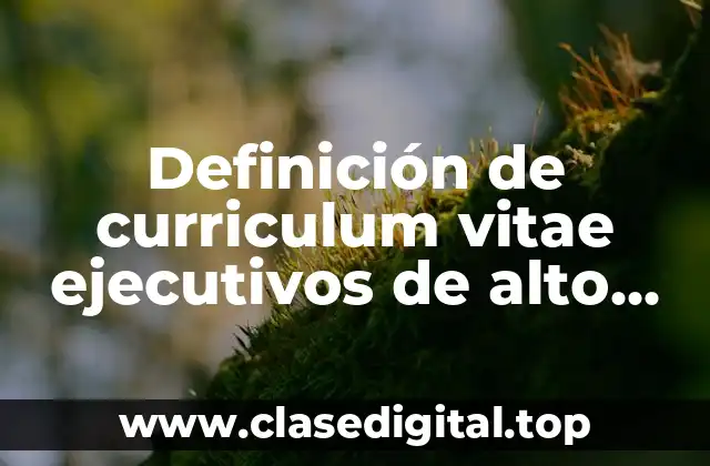 Definición de curriculum vitae ejecutivos de alto nivel