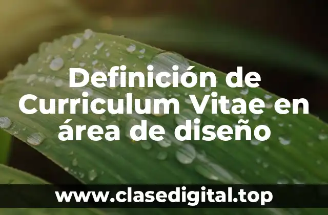Definición de Curriculum Vitae en área de diseño