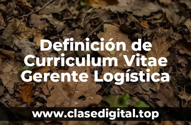 Definición de Curriculum Vitae Gerente Logística