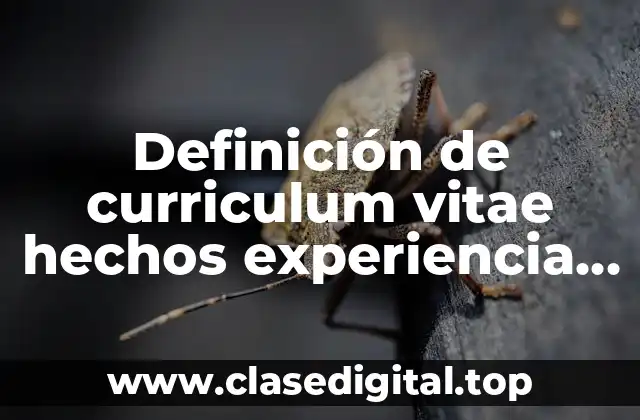 Definición de curriculum vitae hechos experiencia profesional