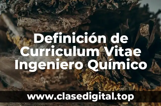 Definición de Curriculum Vitae Ingeniero Químico