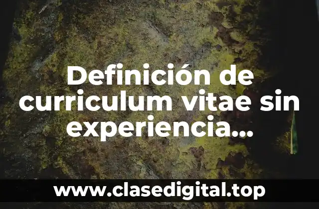 Definición de curriculum vitae sin experiencia profesional