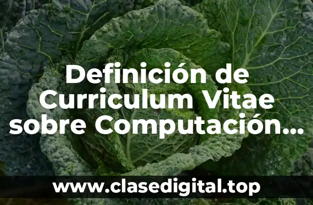Ejemplos de Curriculum Vitae sobre Computación e Informática