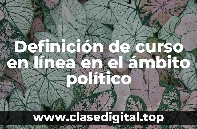 Definición de curso en línea en el ámbito político