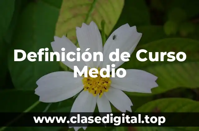 Definición de Curso Medio
