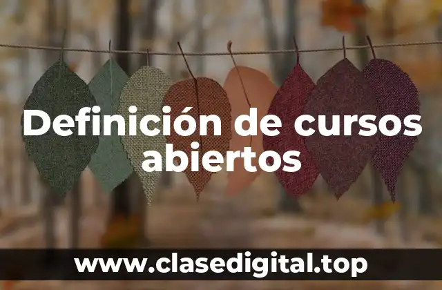 Definición de cursos abiertos