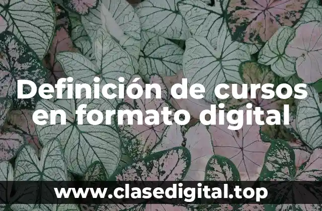 Ejemplos de cursos en formato digital