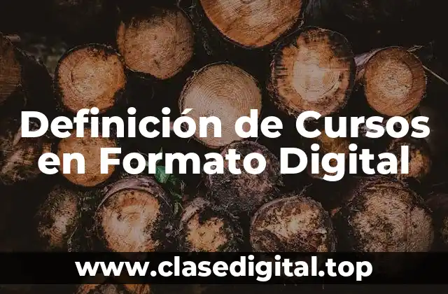 Definición Técnica de Curso en Formato Digital