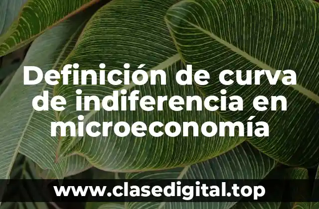 Definición de curva de indiferencia en microeconomía