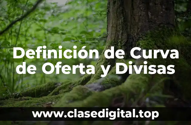 Definición de Curva de Oferta y Divisas