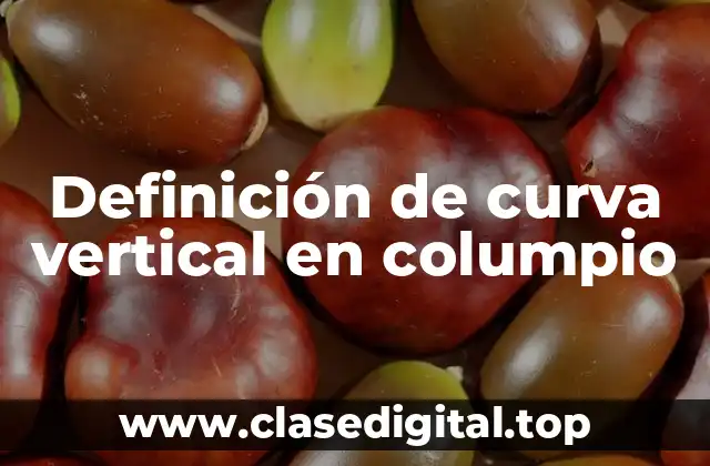 Definición de curva vertical en columpio