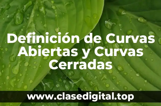 Definición de Curvas Abiertas y Curvas Cerradas