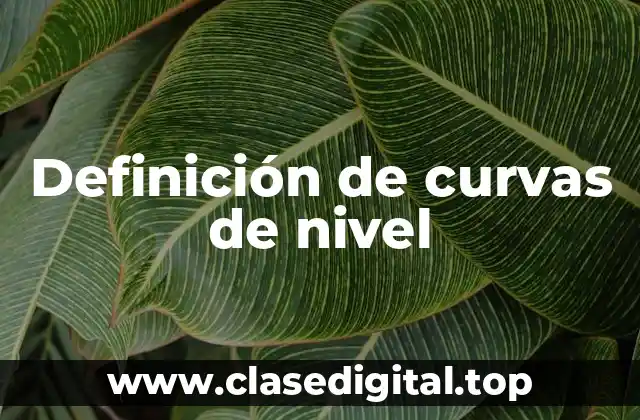 Definición técnica de curva de nivel