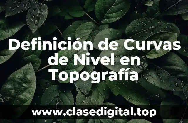 Definición de Curvas de Nivel en Topografía