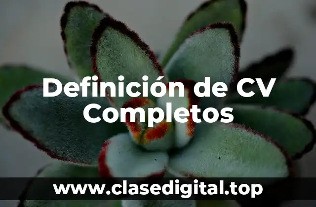 Definición de CV Completos