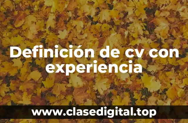 Definición de cv con experiencia