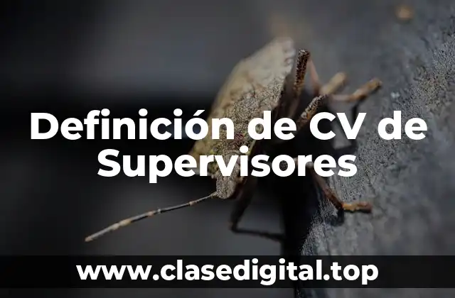 Definición de CV de Supervisores