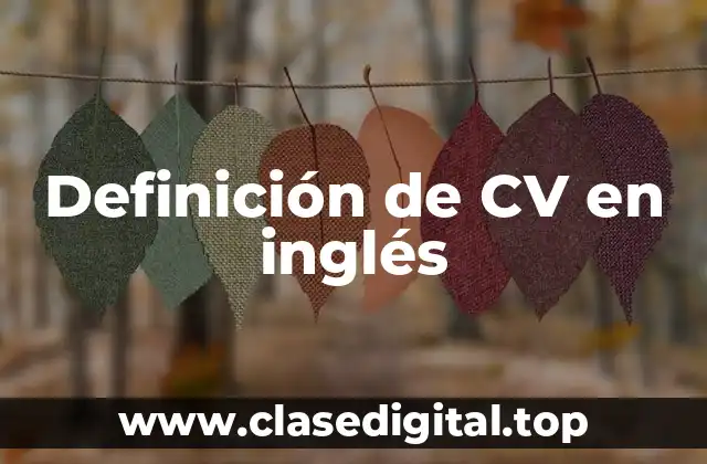 Ejemplos de CV en inglés