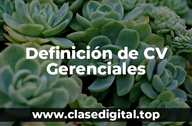 Definición de CV Gerenciales